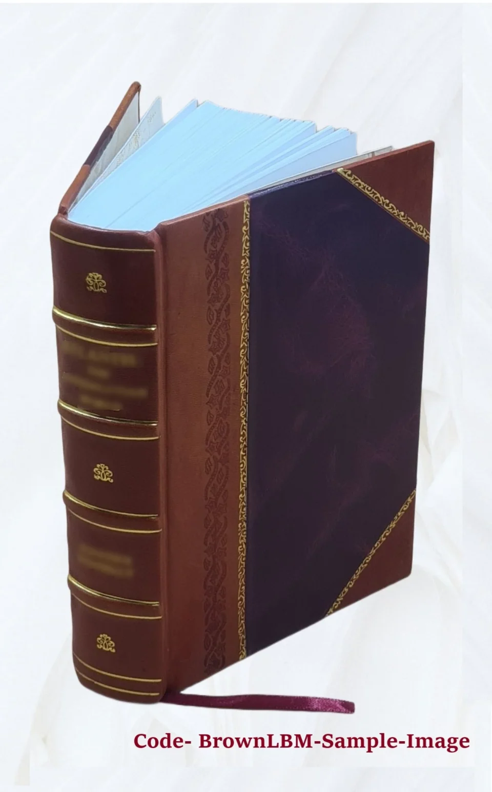 Bamboo Expeditio hispanica apostoli S. Jacobi Maioris asserta, & ex S. Paulo apostolo confirmata ... Authore Emmanuele Caietano Sousa, .. Dissertatio historicocritica .. 1727 [Leather Bou